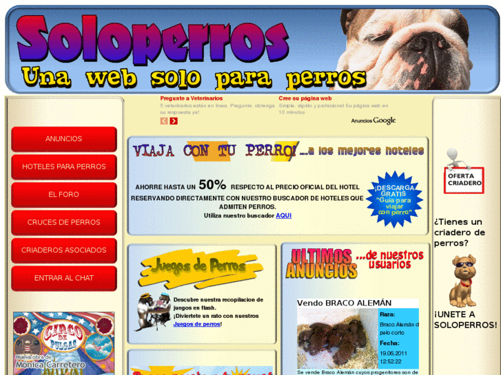 www.soloperros.es