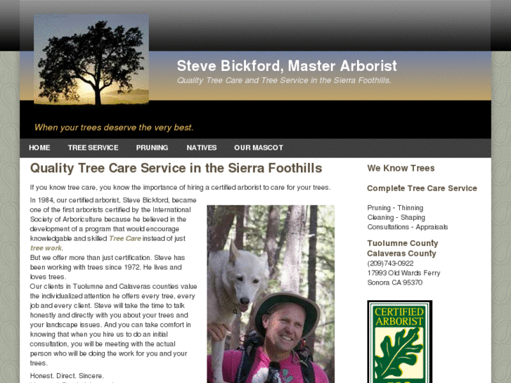 www.stevethearborist.com