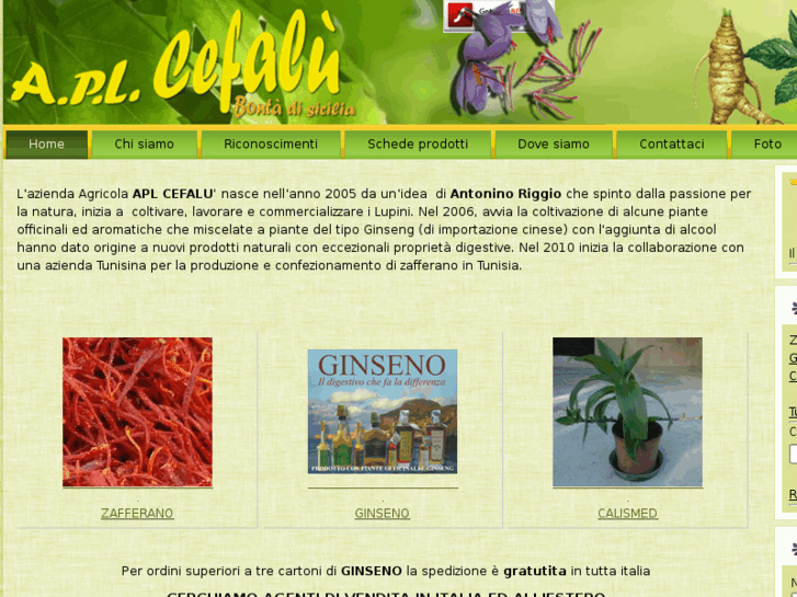 www.aplcefalu.com