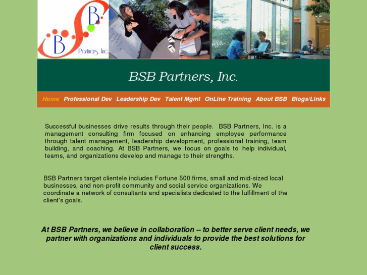 www.bsbpartners.com