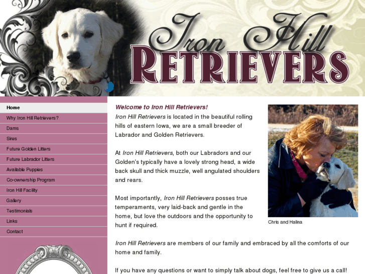 www.ironhillretrievers.com