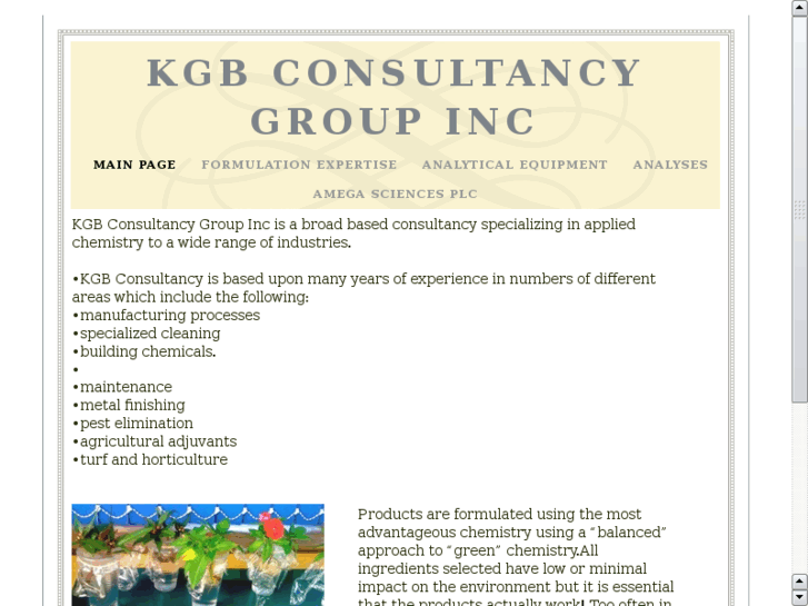 www.kgbcgi.com