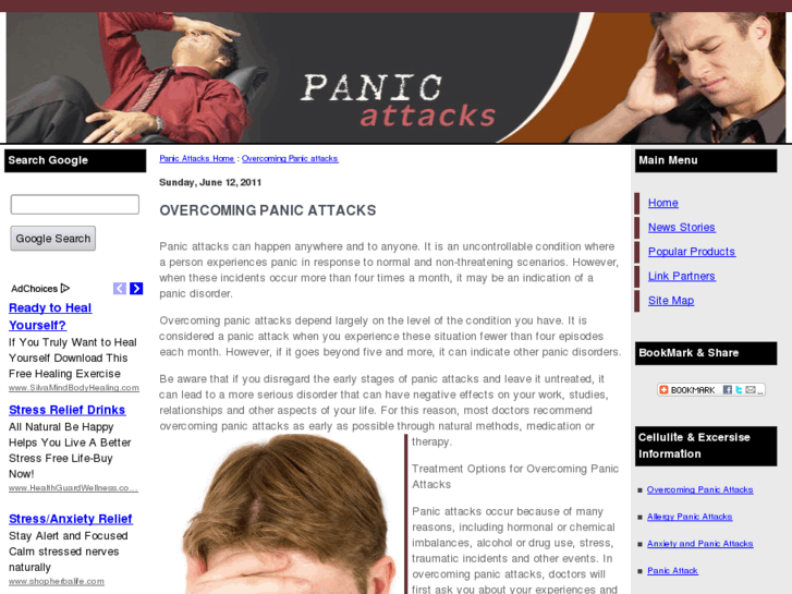 www.overcoming-panic-attacks.com