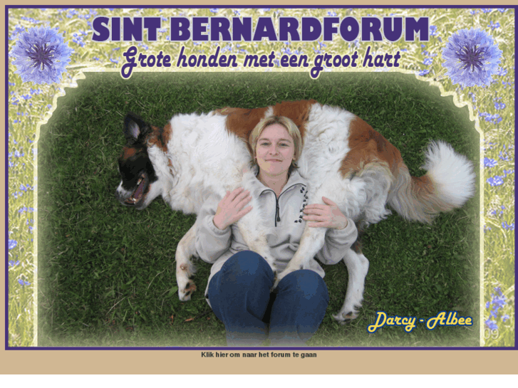 www.sintbernardforum.com