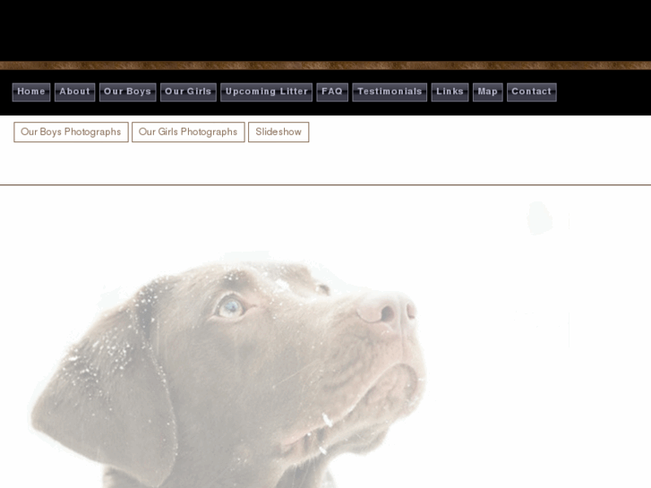 www.winterslowlabradors.com