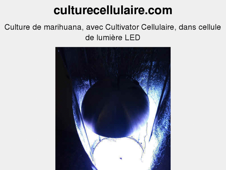 www.culturecellulaire.com