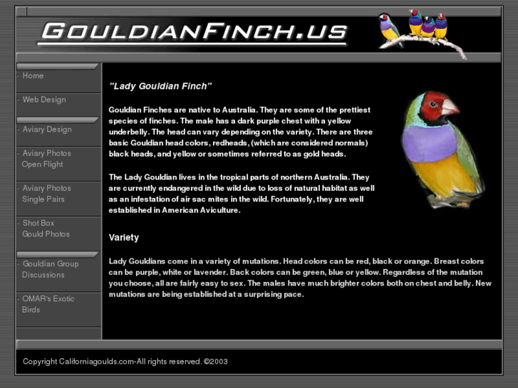 www.gouldians.net