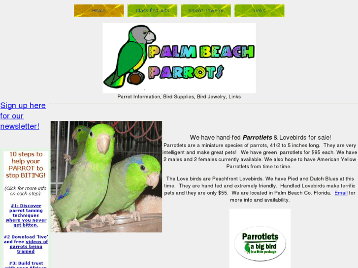 www.palmbeachparrots.com