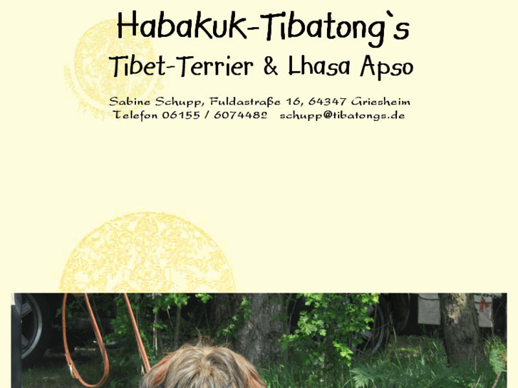 www.tibatongs.de