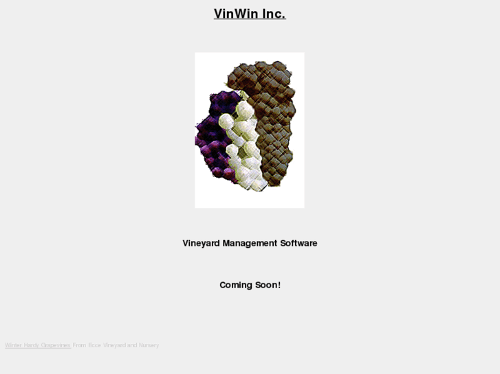 www.vinwin.com