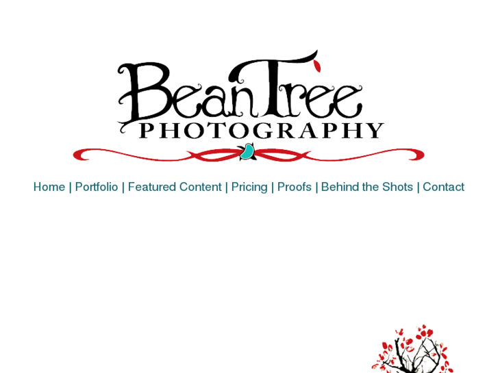 www.beantreephoto.com