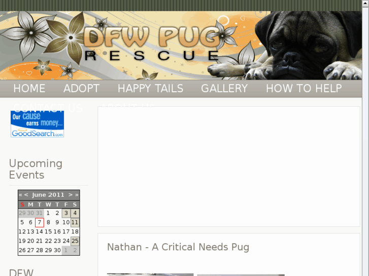 www.dfwpugs.net