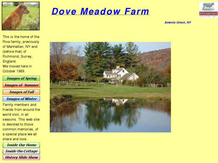 www.dovemeadowfarm.com