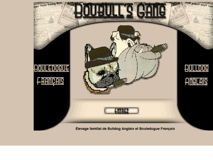 www.boubullsgang.com