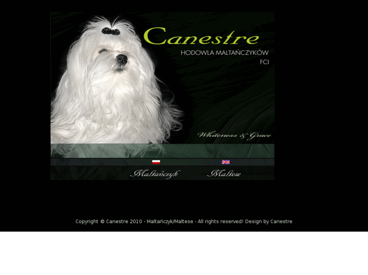 www.canestre.com