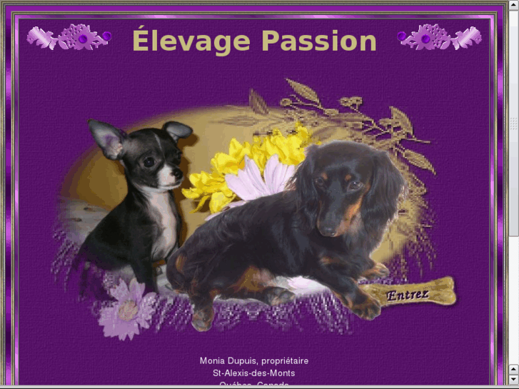 www.elevage-passion.com