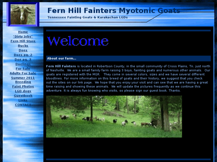 www.fernhillfainters.com