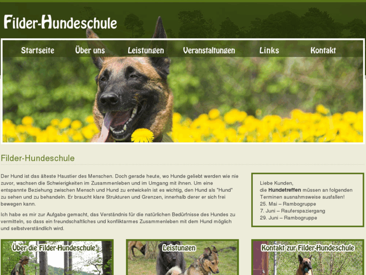 www.filder-hundeschule.de