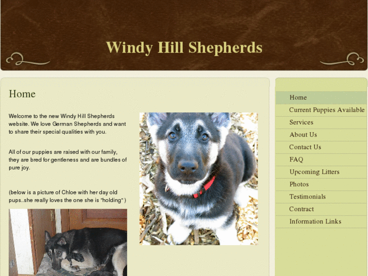 www.windyhillshepherds.com