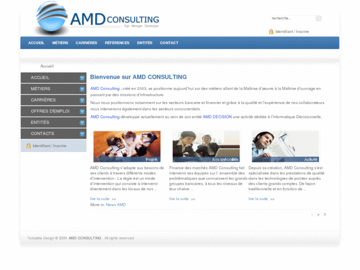 www.amd-consulting.com