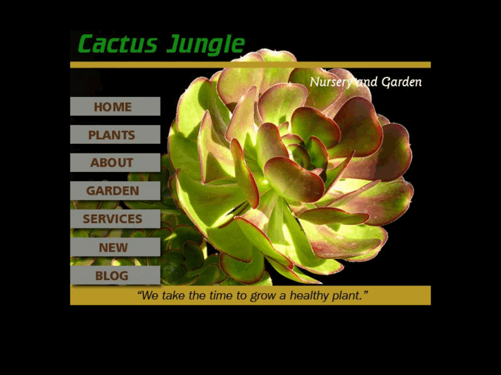 www.cactusjungle.com