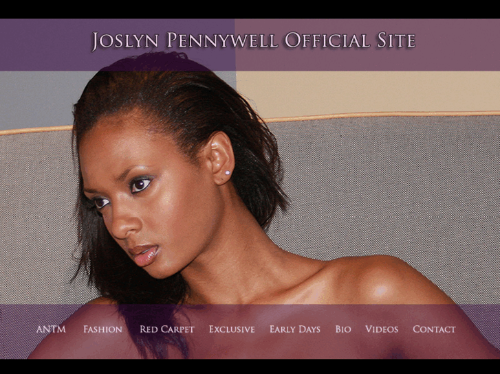 www.joslyn-pennywell.com
