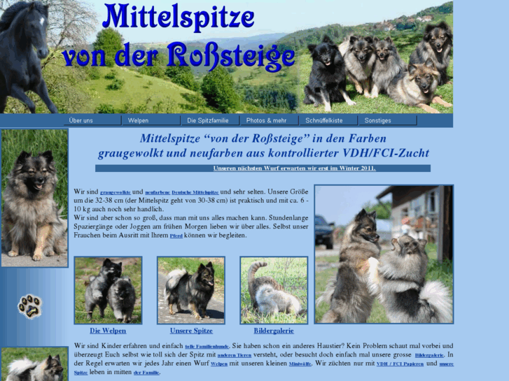 www.mittelspitz.info