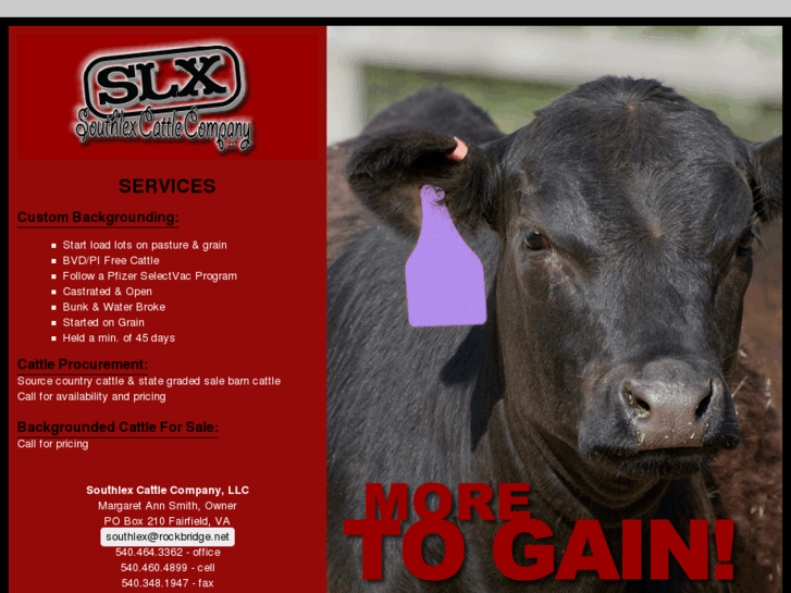 www.southlexcattle.com