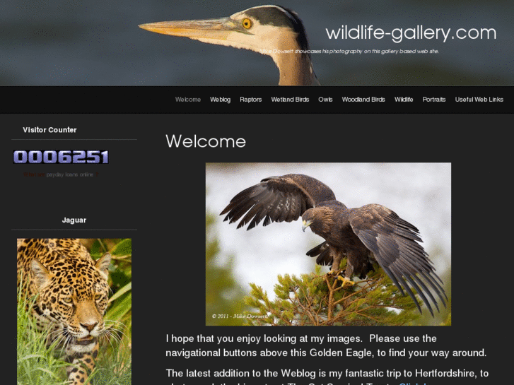 www.wildlife-gallery.com