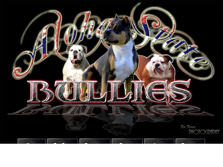 www.alohastatebullies.com