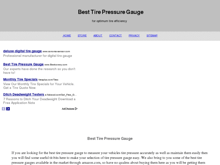 www.besttirepressuregauge.net