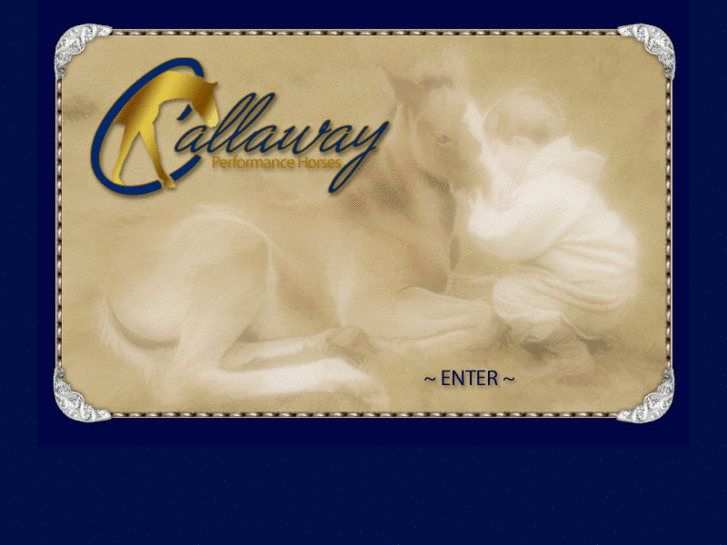 www.callawayperformancehorses.com
