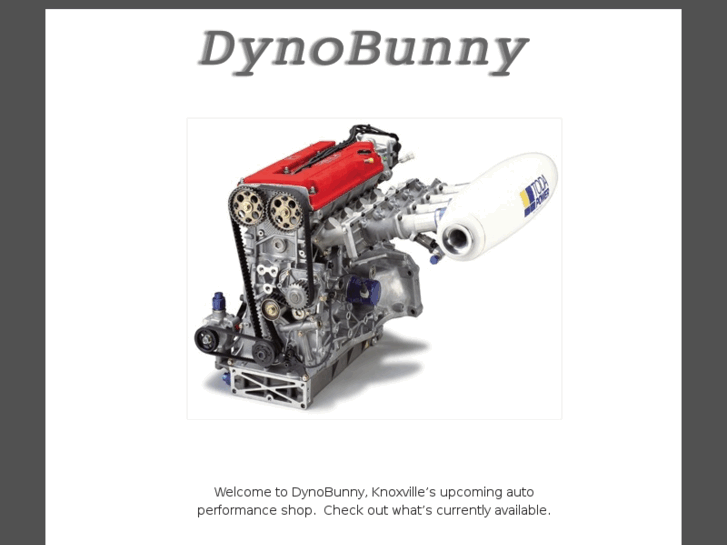 www.dynobunny.net