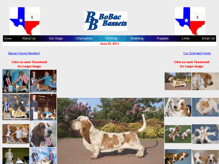 www.bobacbassets.com