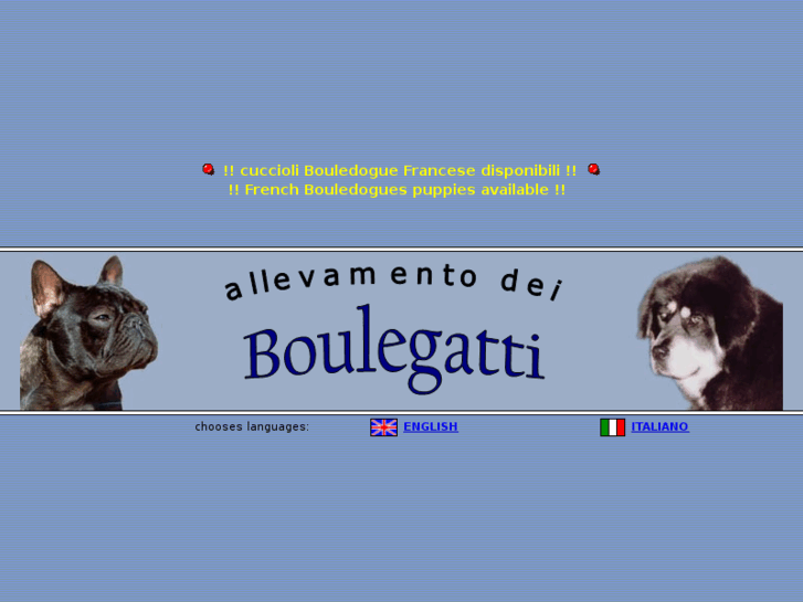 www.bouledoguefrancese.com