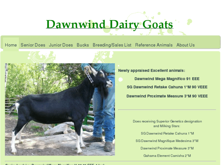 www.dawnwinddairygoats.com