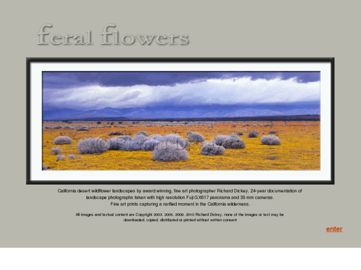 www.feralflowers.com