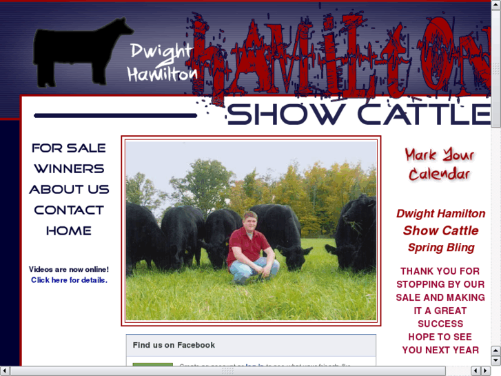 www.hamiltonshowcattle.com