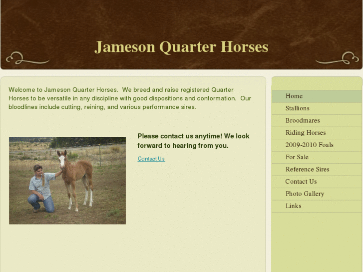 www.jamesonquarterhorses.com