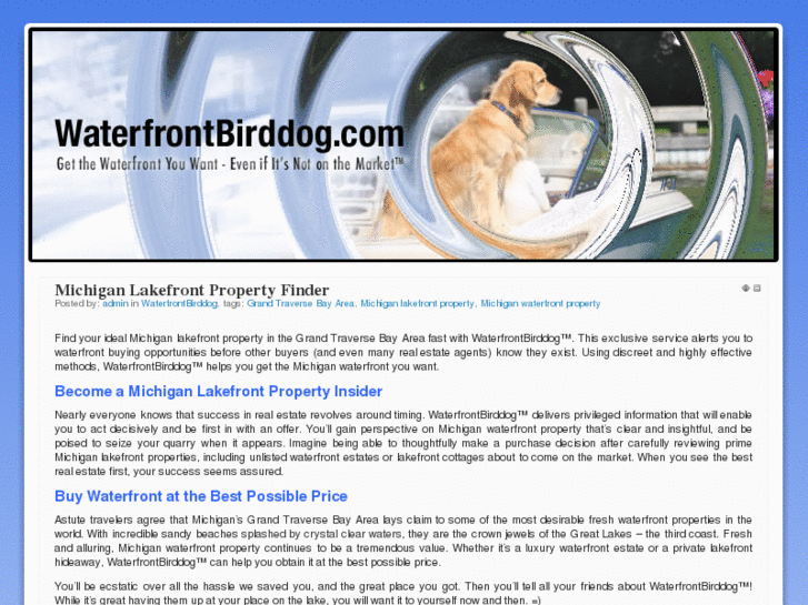 www.waterfrontbirddog.com