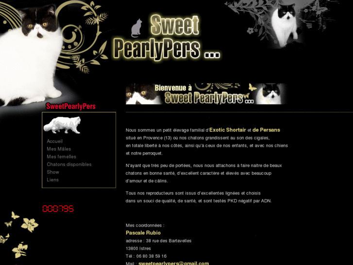 www.sweetpearlypers.com