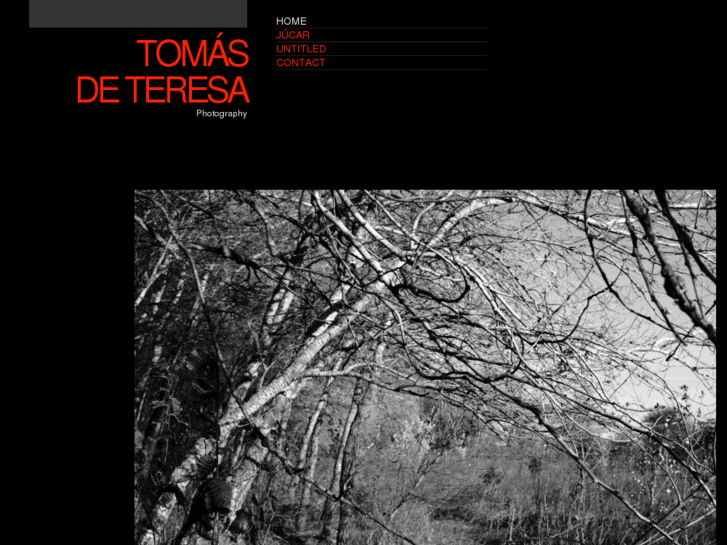 www.tomasdeteresa.com