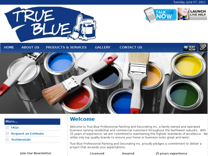 www.truebluepainters.com