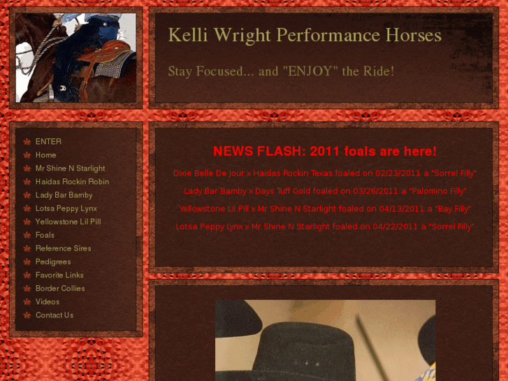 www.wrightchoiceperformancehorses.com