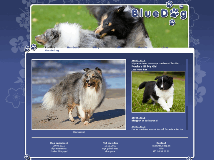 www.bluedog.dk