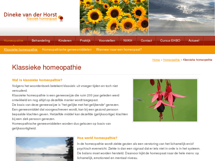 www.dinekevanderhorst.nl