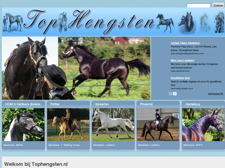 www.tophengsten.com