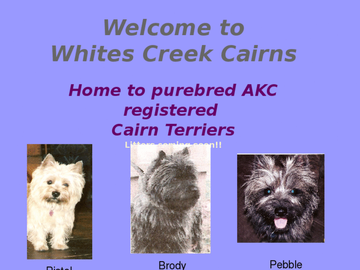 www.whitescreekcairns.com