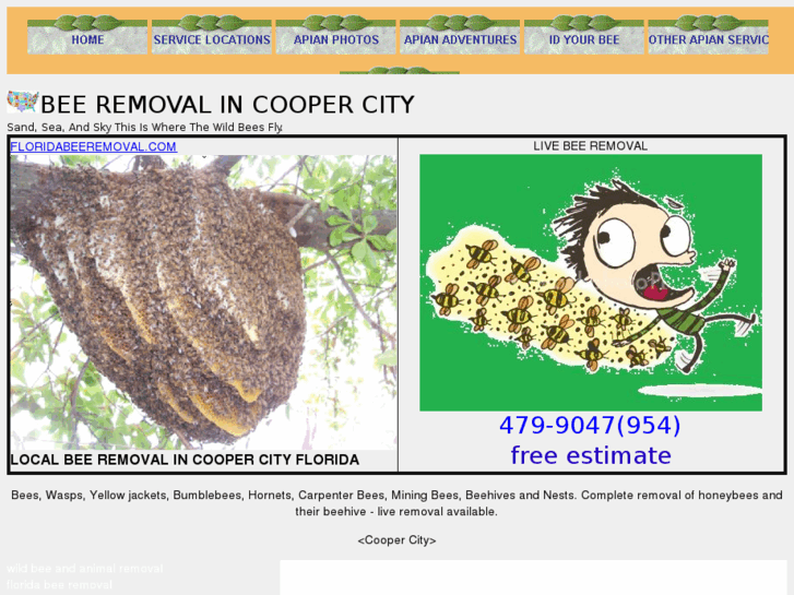 www.beeremovalcoopercity.com