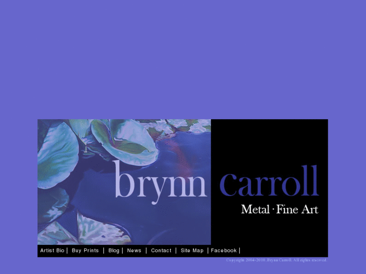 www.brynncarroll.com